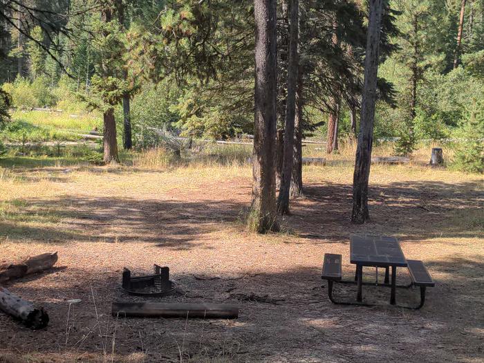 Walk in campsite with picnic table and fire pit in a forested setting. Walk In Site at Poverty Flat Campground