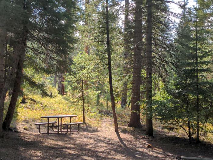Campsite with picnic table and fire pit in a forested setting. Poverty Flat site 6