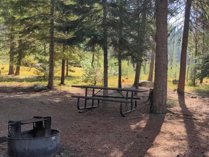 Campsite with picnic table and fire pit in a forested setting. Poverty Flat Campsite 7