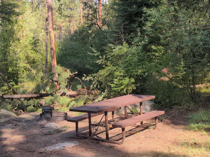 Campsite with picnic table and fire pit in a forested setting. Poverty Flat campsite 8