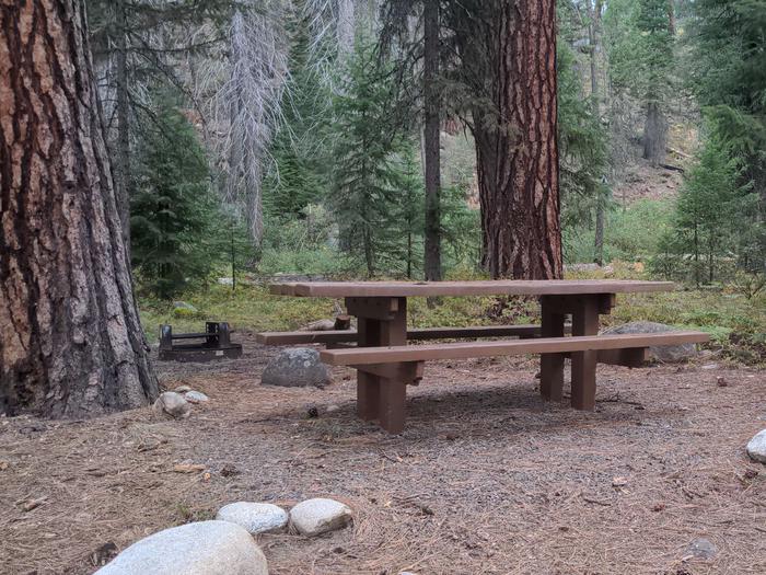Campsite with picnic table and fire pit in a forested setting. Secesh Campground campsite 2