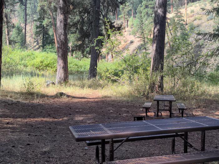 Double walk-in campsite at River Loop adjacent to the South Fork of the Salmon River.