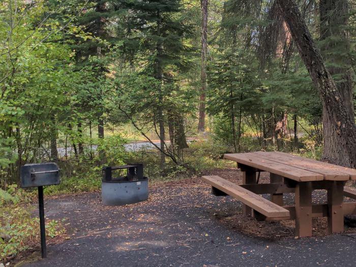 Campsite in forested setting with pedestal grill, fire pit and picnic table.Buckhorn Bar site #3