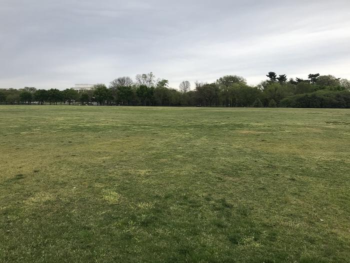 A view of the West Potomac Park Mixed Use Fields. The image shows a grassy field with trees and the Lincoln Memorial in the distance.West Potomac Park Mixed Use Fields