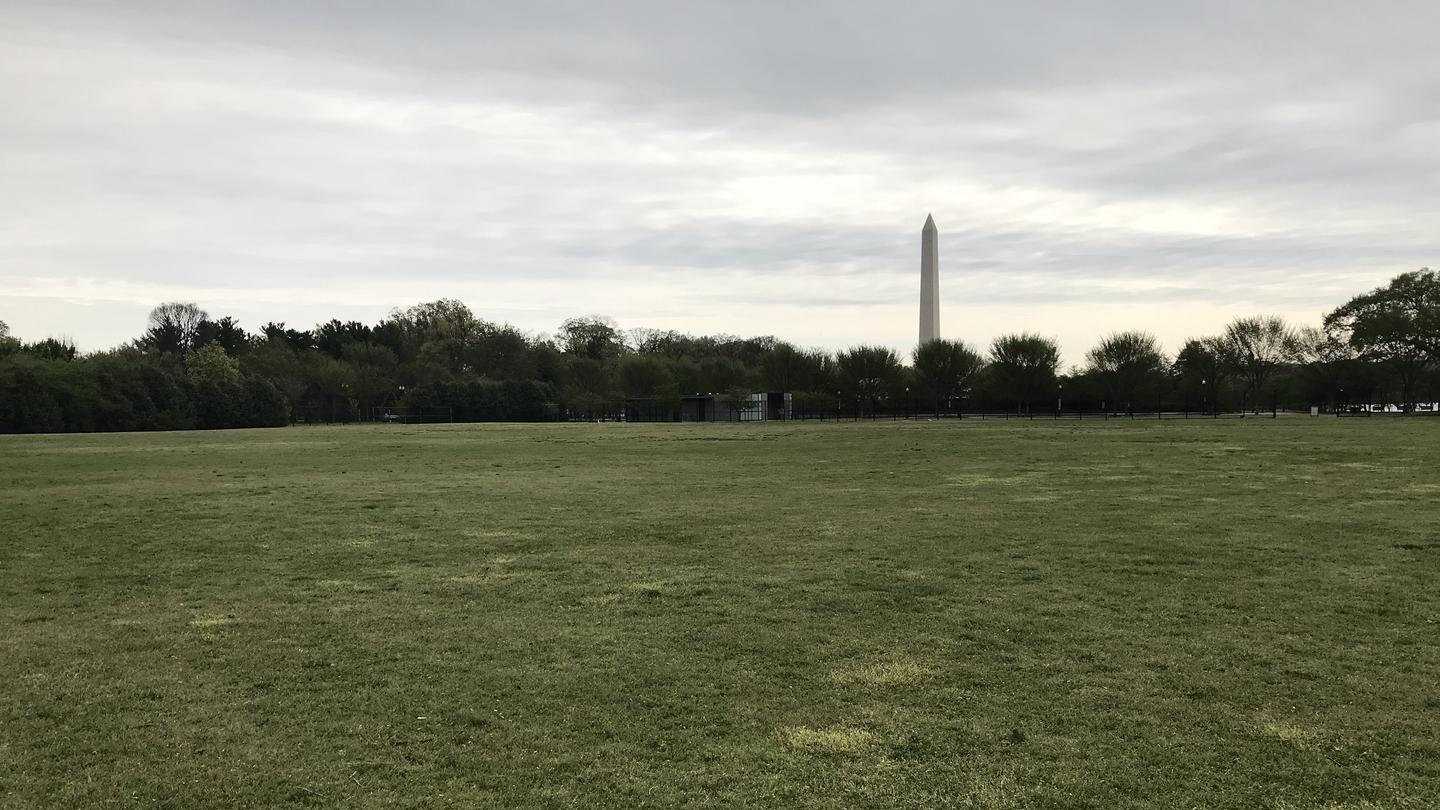 A view of the West Potomac Park Mixed Use Fields. The image shows a grassy field with trees and the Washington Monument in the distance.West Potomac Park Mixed Use Fields