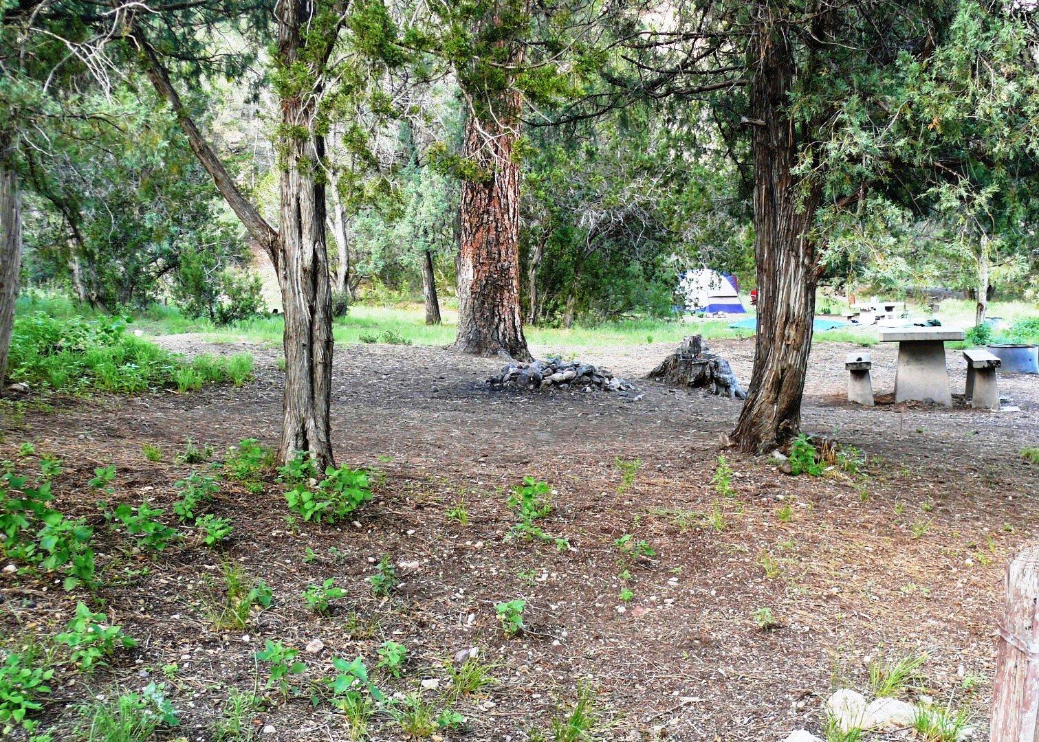 Upper Scorpion Campground