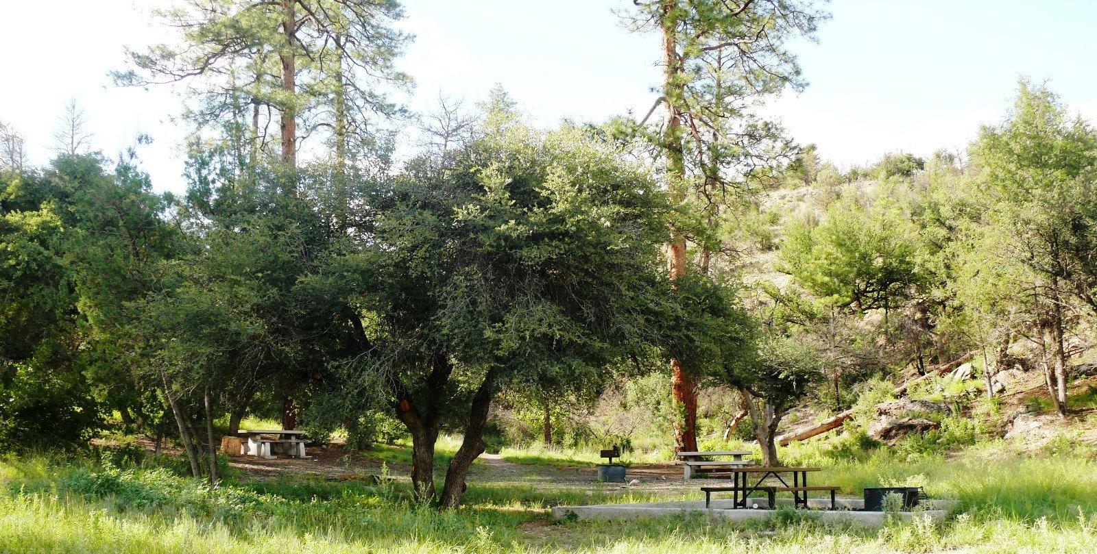 Lower Scorpion Campground