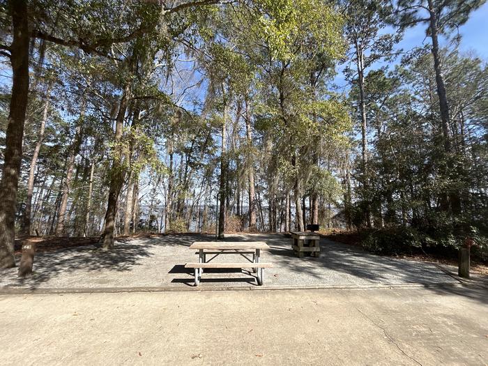 A photo of Site 64 of Loop SLOO at HARDRIDGE CREEK with Picnic Table, Electricity Hookup, Sewer Hookup, Fire Pit, Shade, Full Hookup, Waterfront, Lantern Pole, Water Hookup