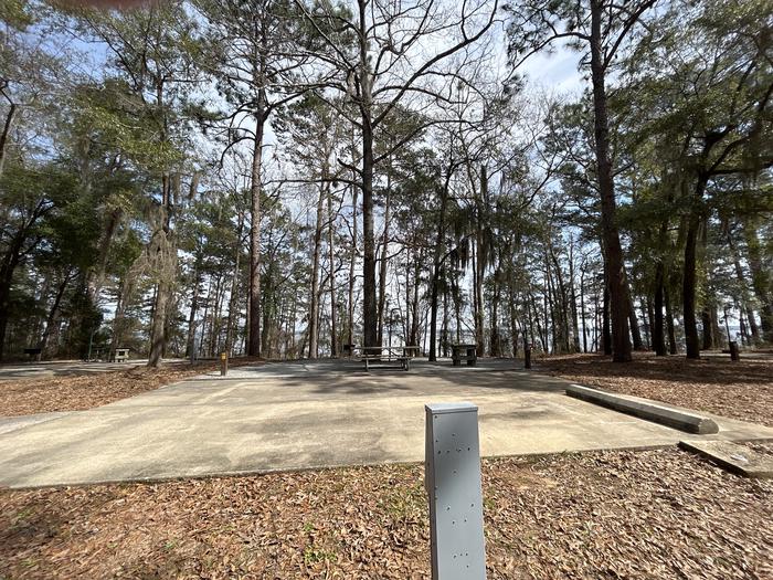 A photo of Site 65 of Loop SLOO at HARDRIDGE CREEK with Picnic Table, Electricity Hookup, Sewer Hookup, Fire Pit, Full Hookup, Waterfront, Lantern Pole, Water Hookup