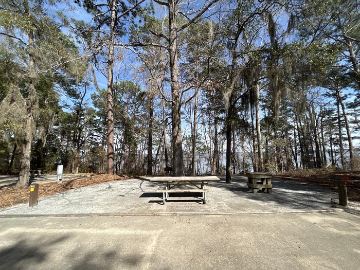 A photo of Site 65 of Loop SLOO at HARDRIDGE CREEK with Picnic Table, Electricity Hookup, Sewer Hookup, Fire Pit, Shade, Full Hookup, Waterfront, Lantern Pole, Water Hookup