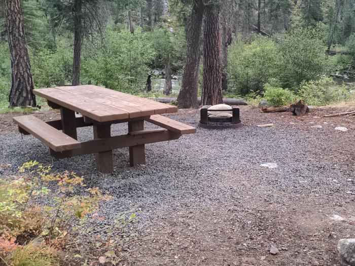 Campsite with picnic table and fire pit in a forested setting. Secesh Campground