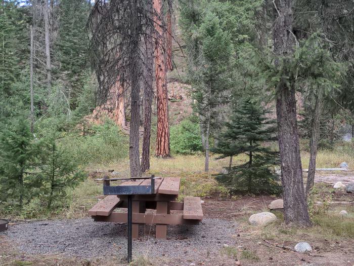 Campsite with picnic table and fire pit in a forested setting. Secesh Campsite