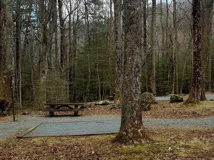 Preview photo of Lake Conasauga Overflow Campground