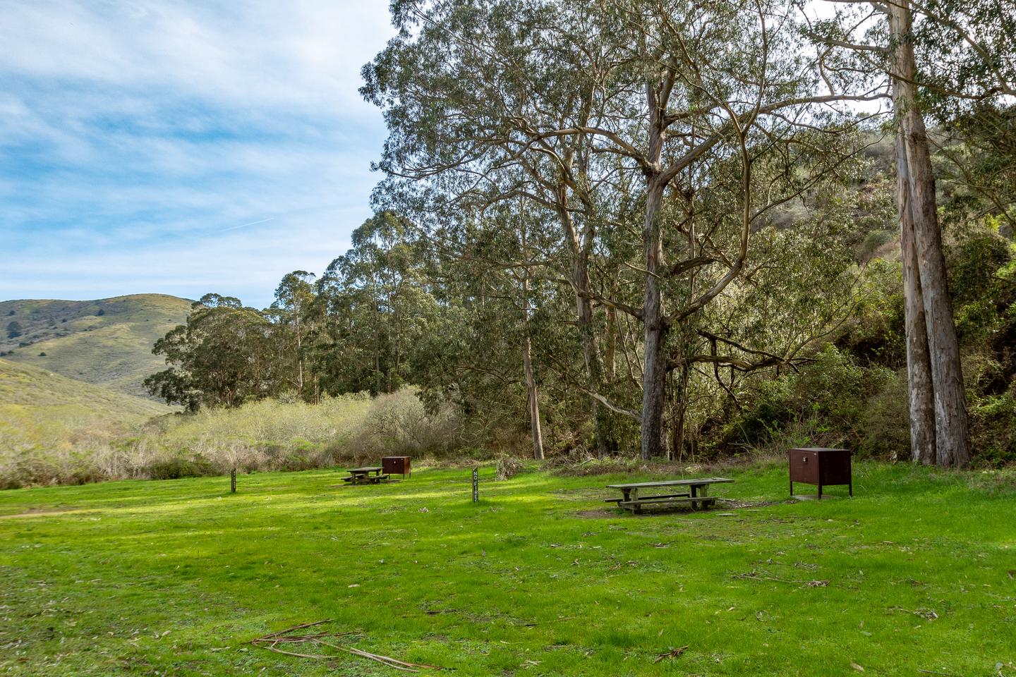 Picnic table, food locker, and wood bordered tent pad with a post in front that reads "1." Behind are tall eucalyptus trees.Site 1 of Haypress Campground.