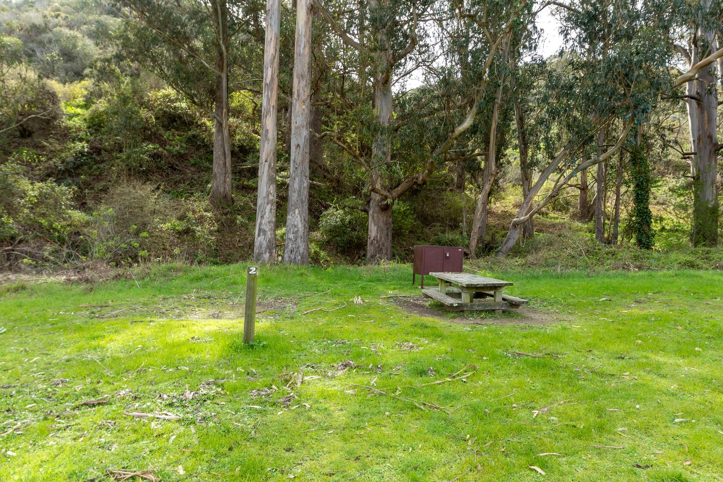 Green grass surrounds a picnic table, food locker, and post that reads, "2." Behind are eucalyptus trees and a shrub covered hillside.Site 2 of Haypress Campground