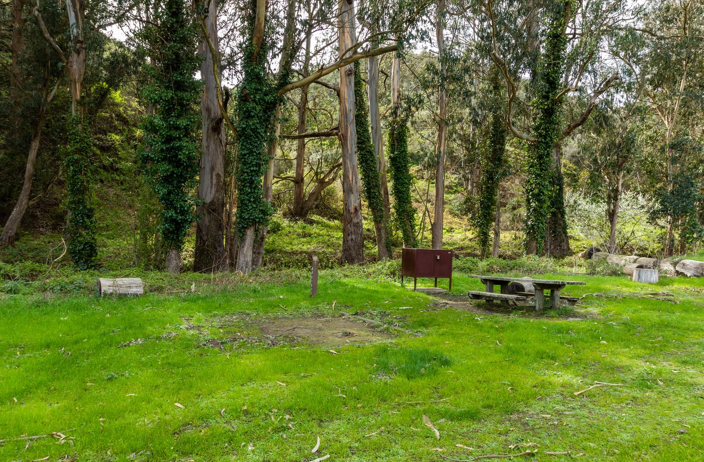 Picnic table, bear locker, and post reading "3" surrounded by green grass and a dirt patch for one of the campsites tent pads. Behind are eucalyptus trees, many covered in ivy.Site 3 of Haypress Campground