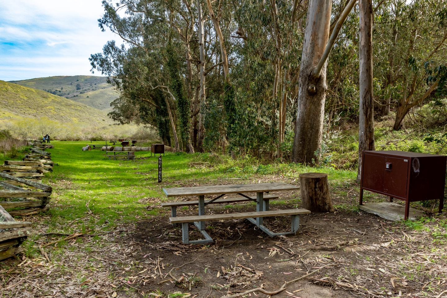 Picnic table, tree stump, and bear locker in a dirt patch surrounded by grass. The campsite post reads, "No fires" on its side. In the distance are the other campsites, eucalyptus trees and rolling hills.Site 5 of Haypress Campground