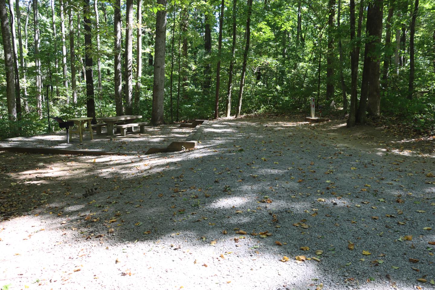 Step down to picnic area in Campsite 4Campsite 4