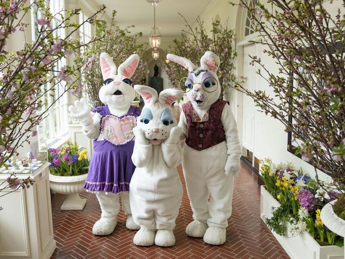 Three Easter Bunnies posing for a pictureThree Easter Bunnies attending the White House Easter Egg
