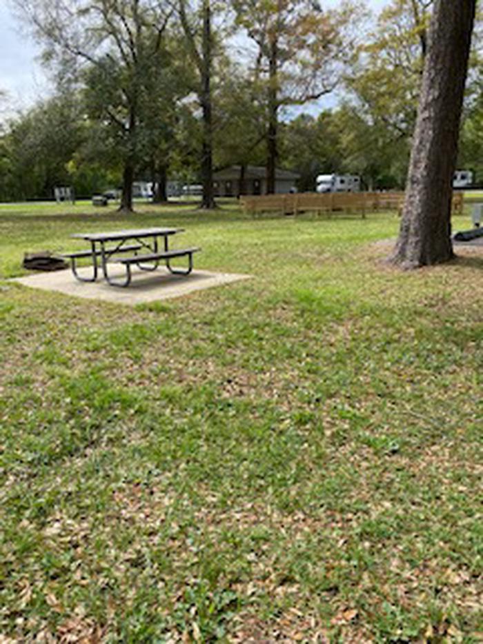 Site 49 picnicSite 49 picnic and fire pit