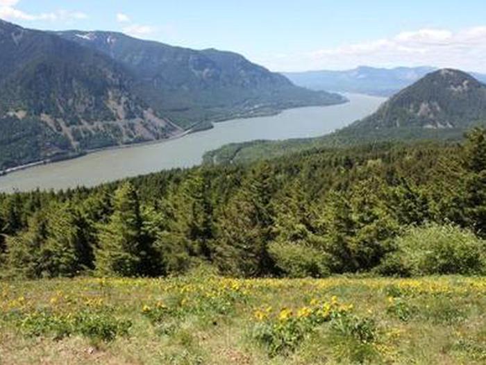 Dog Mountain Trail overlooking the Columbia River Gorge