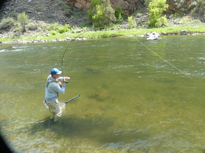 Fly fishing at Red Rock CanyonGold Medal waters fishing