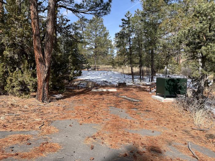 A photo of pull-in driveway at Site 42 of Loop Coyote  at JUNIPER CAMPGROUND