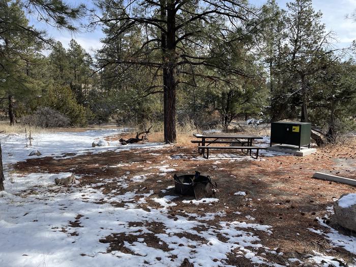 A photo of Site 42 of Loop Coyote  at JUNIPER CAMPGROUND with Picnic Table, Fire Pit, Food Storage
