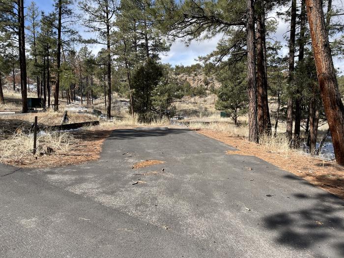 A photo of pull-in driveway at Site 50 of Loop Coyote  at JUNIPER CAMPGROUND
