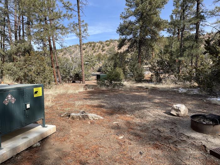 A photo of Site 39 of Loop Coyote  at JUNIPER CAMPGROUND with Fire Pit, Food Storage