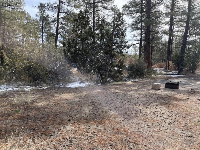 A photo of Site 39 of Loop Coyote  at JUNIPER CAMPGROUND with Fire Pit