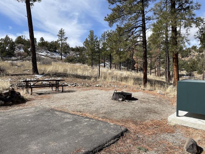 A photo of entire campsite at Site 48 of Loop Coyote  at JUNIPER CAMPGROUND