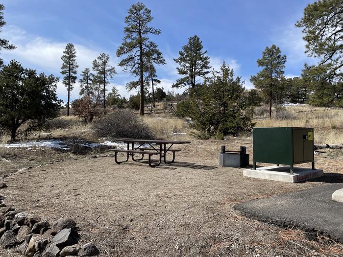 A photo of entire campsite at Site 46 of Loop Coyote  at JUNIPER CAMPGROUND