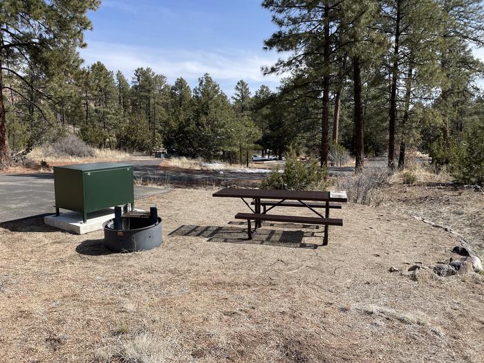 A photo of Site 46 of Loop Coyote  at JUNIPER CAMPGROUND with Picnic Table, Fire Pit, Food Storage