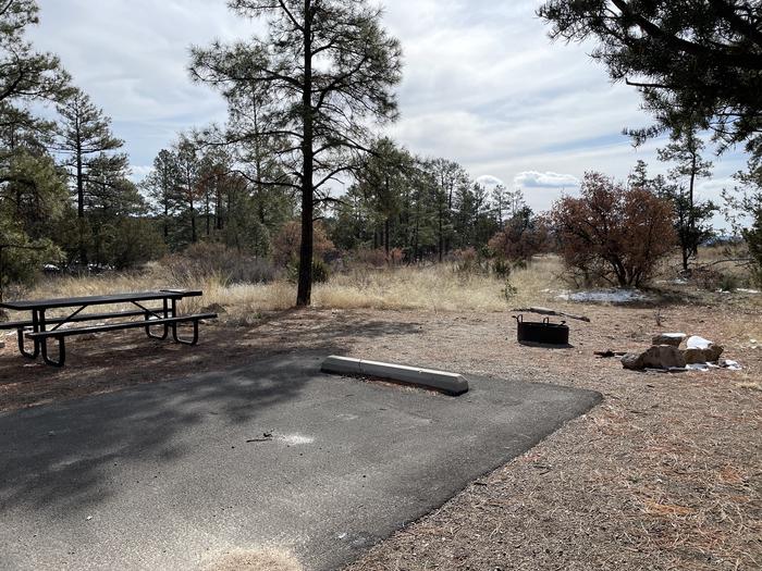 A photo of Site 40 of Loop Coyote  at JUNIPER CAMPGROUND with Picnic Table, Fire Pit