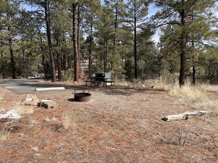 A photo of Site 40 of Loop Coyote  at JUNIPER CAMPGROUND with Picnic Table, Fire Pit, Food Storage