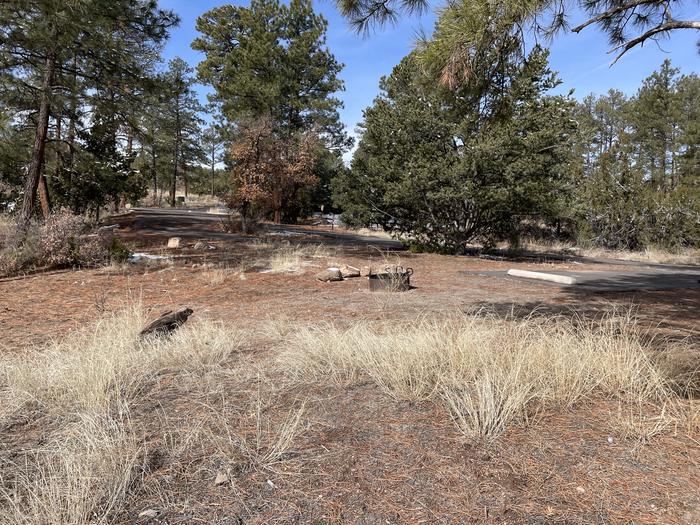 A photo of Site 40 of Loop Coyote  at JUNIPER CAMPGROUND with Fire Pit