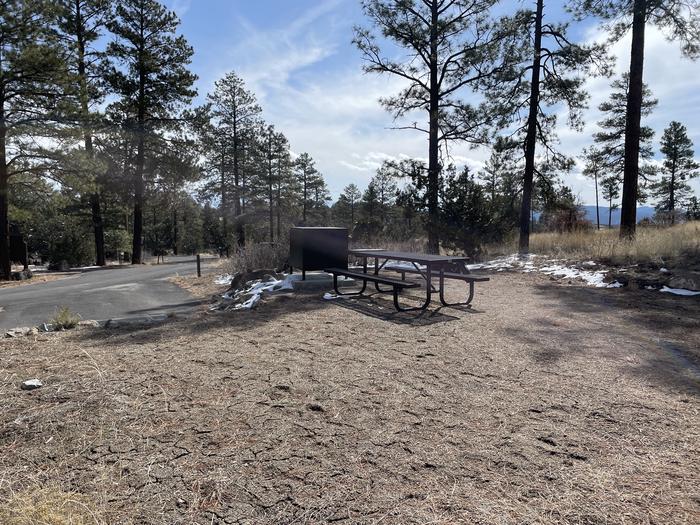 A photo of Site 47 of Loop Coyote  at JUNIPER CAMPGROUND with Picnic Table, Food Storage