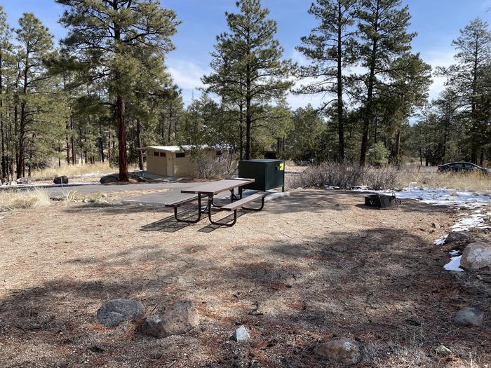 A photo of entire campsite at Site 47 of Loop Coyote  at JUNIPER CAMPGROUND