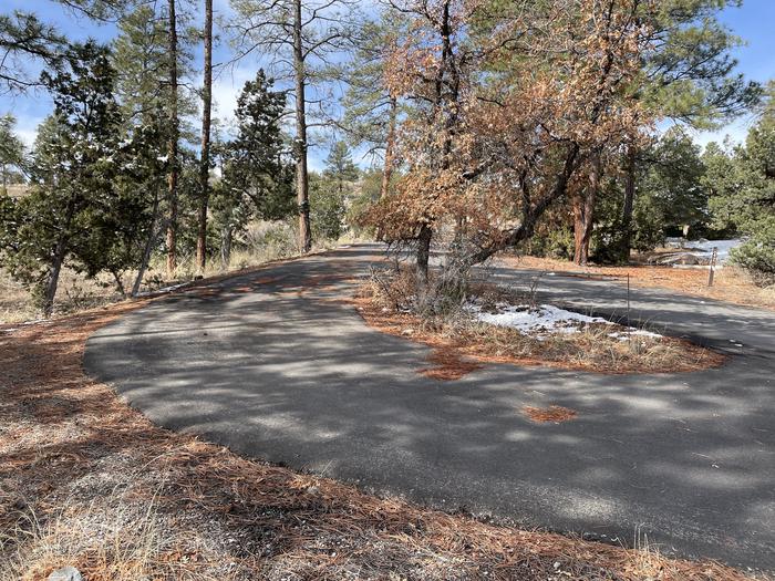 A photo of pull-thru driveway at Site 41 of Loop Coyote  at JUNIPER CAMPGROUND