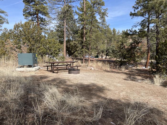 A photo of whole campsite at Site 41 of Loop Coyote  at JUNIPER CAMPGROUND