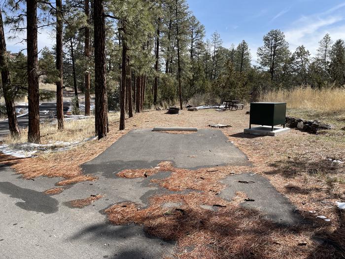A photo of pull-in driveway at Site 51 of Loop Coyote  at JUNIPER CAMPGROUND