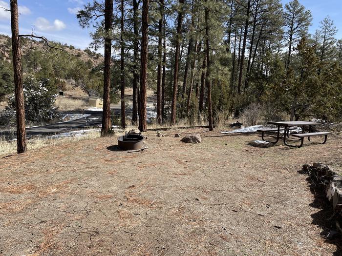 A photo of Site 51 of Loop Coyote  at JUNIPER CAMPGROUND with Picnic Table, Fire Pit