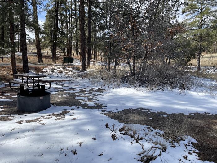 A photo of Site 53 of Loop Coyote  at JUNIPER CAMPGROUND with Picnic Table, Fire Pit