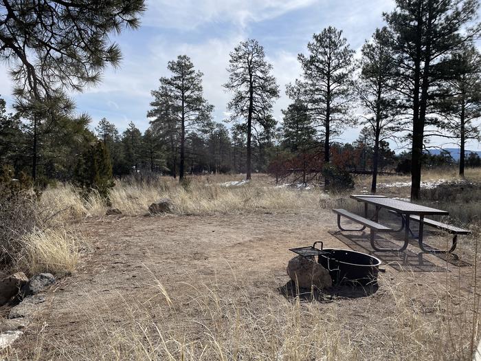 A photo of Site 43 of Loop Coyote  at JUNIPER CAMPGROUND with Picnic Table, Fire Pit