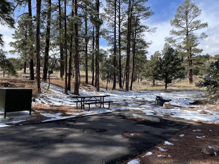 A photo of entire campsite at Site 52 of Loop Coyote  at JUNIPER CAMPGROUND