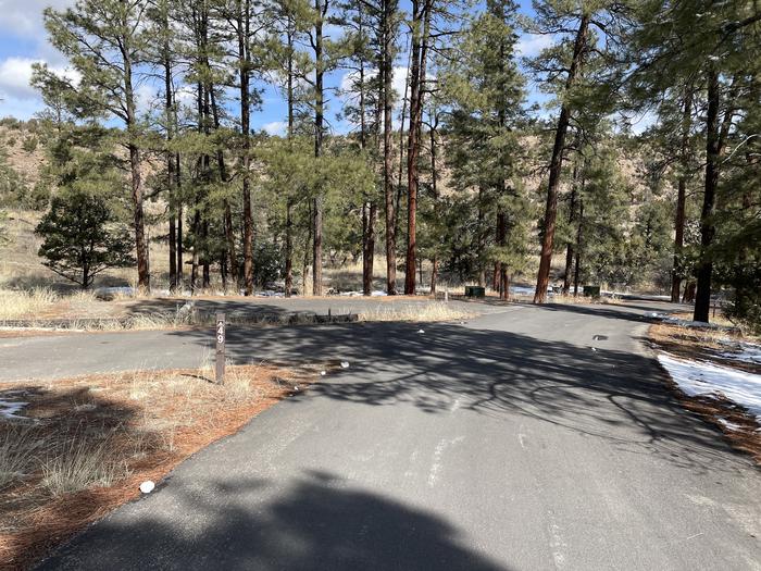 A photo of entrance to Site 49 of Loop Coyote  at JUNIPER CAMPGROUND