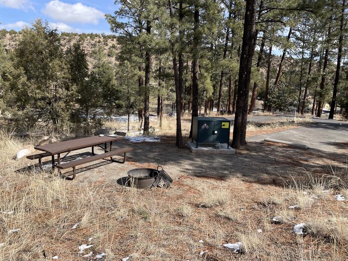 A photo of entire campsite at Site 49 of Loop Coyote  at JUNIPER CAMPGROUND