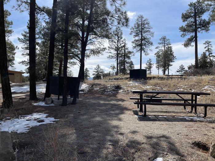 A photo of Site 49 of Loop Coyote  at JUNIPER CAMPGROUND with Picnic Table, Food Storage