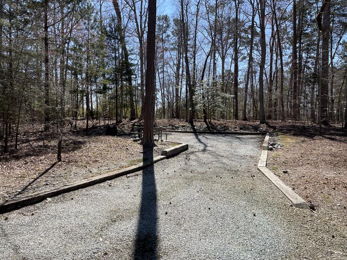 A photo of Site 65 of Loop LEFT at LONGWOOD PARK with Tent Pad